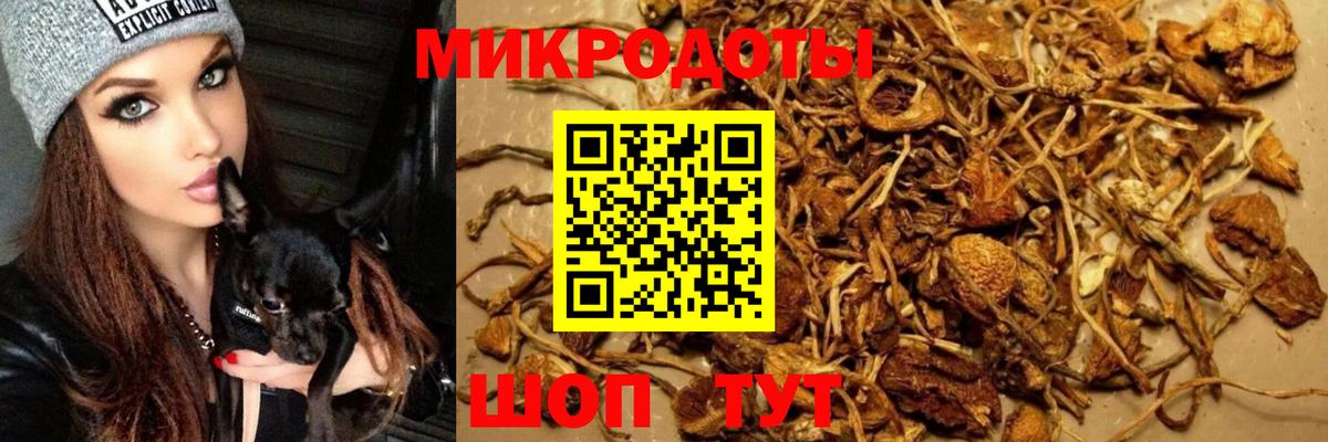 Реутов  Псилоцибиновые грибы ЛСД  Вход с VPN 