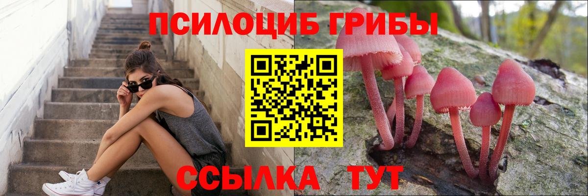 Псилоцибиновые грибы Psilocybine cubensis Реутов